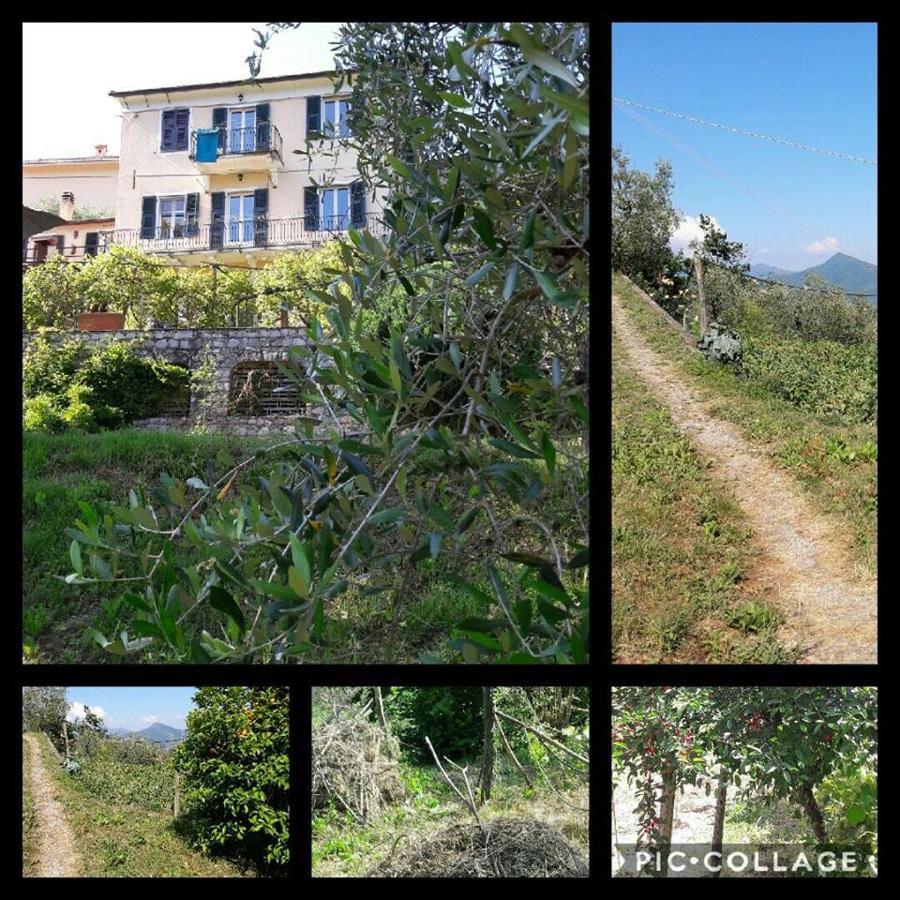 Отель Rural House Rondini Camposasco Экстерьер фото